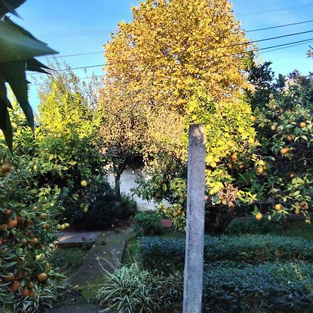 산타렘 Casa Xantarim B&B 외부 사진