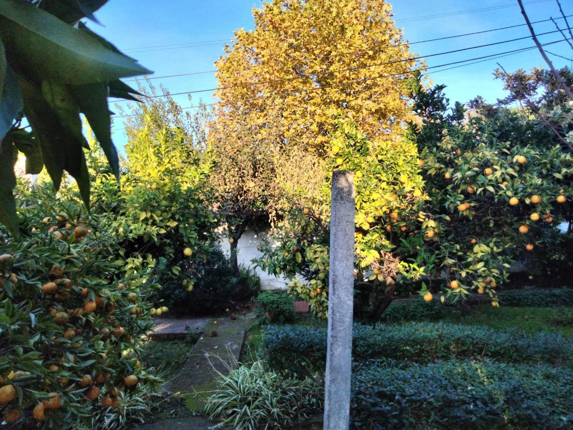 산타렘 Casa Xantarim B&B 외부 사진