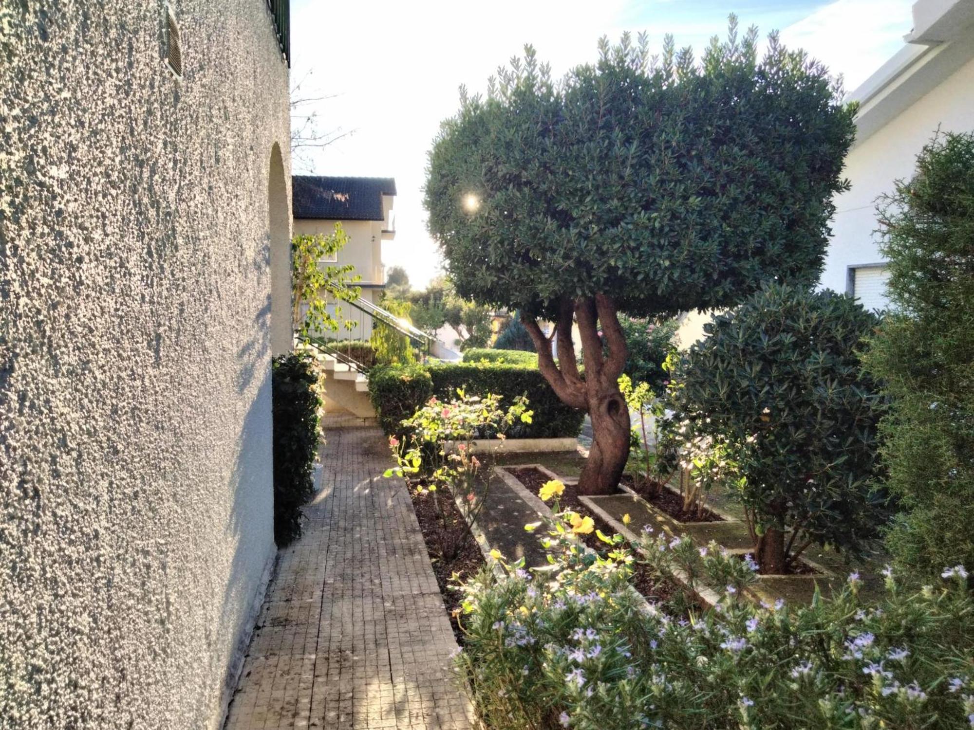 산타렘 Casa Xantarim B&B 외부 사진